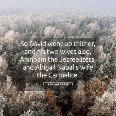 Picture 05 - 2 Samuel 2:2 KJV - So David went up thither, and his two wives also, - Bible Verse Picture