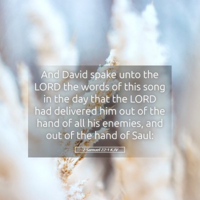 Picture 05 - 2 Samuel 22:1 KJV - And David spake unto the LORD the words of this - Bible Verse Picture