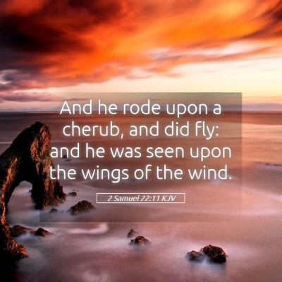 Picture 05 - 2 Samuel 22:11 KJV - And he rode upon a cherub, and did fly: and he - Bible Verse Picture
