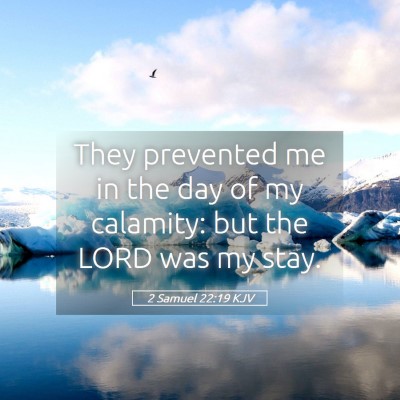 Picture 05 - 2 Samuel 22:19 KJV - They prevented me in the day of my calamity: but - Bible Verse Picture