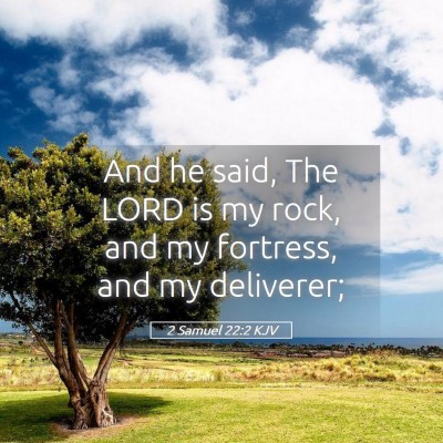 Picture 05 - 2 Samuel 22:2 KJV - And he said, The LORD is my rock, and my - Bible Verse Picture