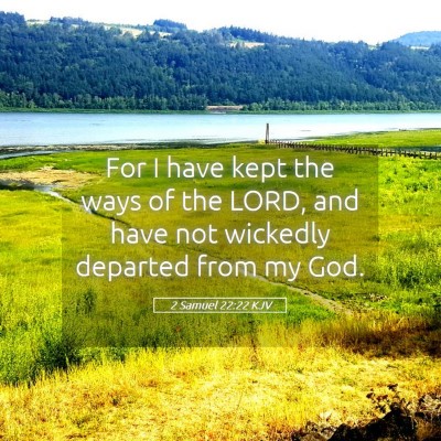 Picture 05 - 2 Samuel 22:22 KJV - For I have kept the ways of the LORD, and have - Bible Verse Picture