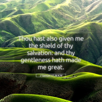 Picture 05 - 2 Samuel 22:36 KJV - Thou hast also given me the shield of thy - Bible Verse Picture