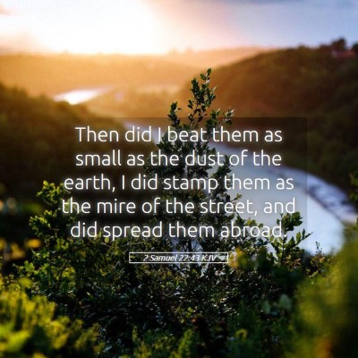 Picture 05 - 2 Samuel 22:43 KJV - Then did I beat them as small as the dust of the - Bible Verse Picture