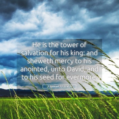 Picture 05 - 2 Samuel 22:51 KJV - He is the tower of salvation for his king: and - Bible Verse Picture