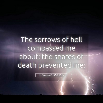 Picture 05 - 2 Samuel 22:6 KJV - The sorrows of hell compassed me about; the - Bible Verse Picture