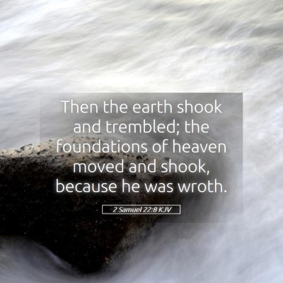 Picture 05 - 2 Samuel 22:8 KJV - Then the earth shook and trembled; the - Bible Verse Picture