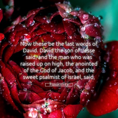 Picture 05 - 2 Samuel 23:1 KJV - Now these be the last words of David. David the - Bible Verse Picture