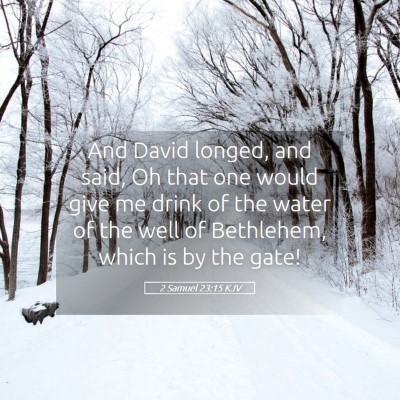 Picture 05 - 2 Samuel 23:15 KJV - And David longed, and said, Oh that one would - Bible Verse Picture