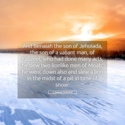 Picture 05 - 2 Samuel 23:20 KJV - And Benaiah the son of Jehoiada, the son of a - Bible Verse Picture