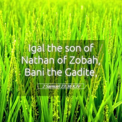 Picture 05 - 2 Samuel 23:36 KJV - Igal the son of Nathan of Zobah, Bani the - Bible Verse Picture