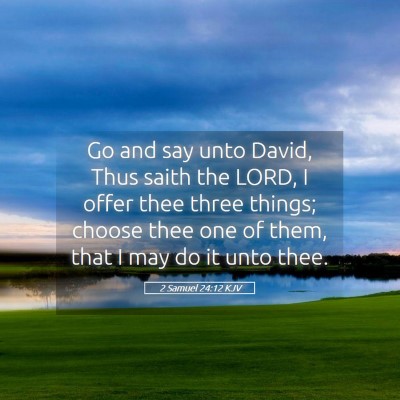 Picture 05 - 2 Samuel 24:12 KJV - Go and say unto David, Thus saith the LORD, I - Bible Verse Picture