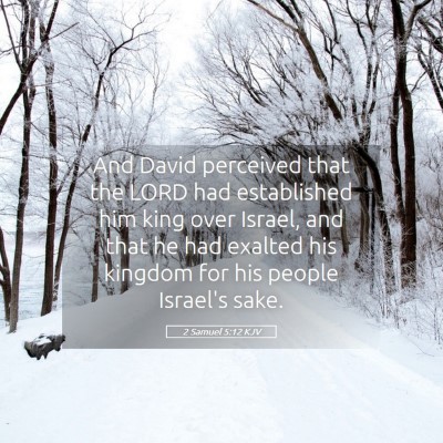 Picture 05 - 2 Samuel 5:12 KJV - And David perceived that the LORD had established - Bible Verse Picture