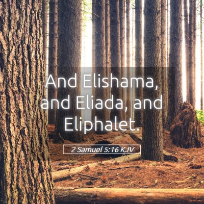 Picture 05 - 2 Samuel 5:16 KJV - And Elishama, and Eliada, and - Bible Verse Picture
