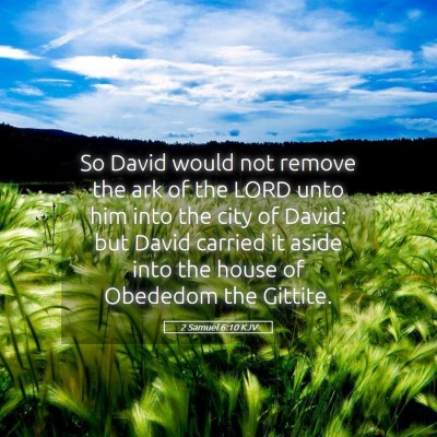 Picture 05 - 2 Samuel 6:10 KJV - So David would not remove the ark of the LORD - Bible Verse Picture