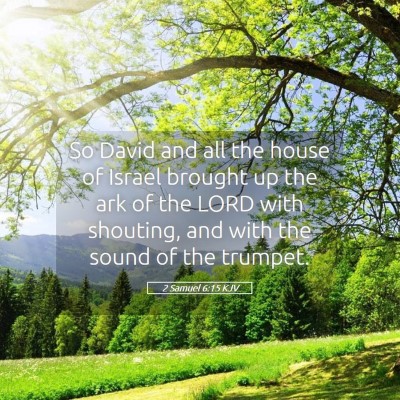 Picture 05 - 2 Samuel 6:15 KJV - So David and all the house of Israel brought up - Bible Verse Picture
