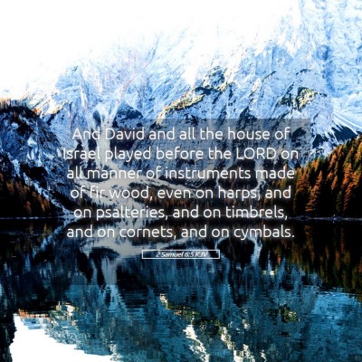 Picture 05 - 2 Samuel 6:5 KJV - And David and all the house of Israel played - Bible Verse Picture