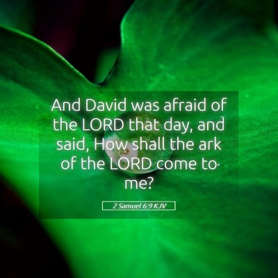 Picture 05 - 2 Samuel 6:9 KJV - And David was afraid of the LORD that day, and - Bible Verse Picture