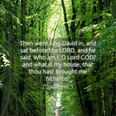 Picture 05 - 2 Samuel 7:18 KJV - Then went king David in, and sat before the LORD, - Bible Verse Picture
