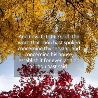 Picture 05 - 2 Samuel 7:25 KJV - And now, O LORD God, the word that thou hast - Bible Verse Picture