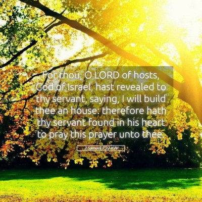 Picture 05 - 2 Samuel 7:27 KJV - For thou, O LORD of hosts, God of Israel, hast - Bible Verse Picture