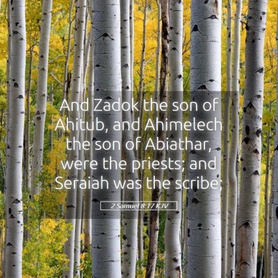 Picture 05 - 2 Samuel 8:17 KJV - And Zadok the son of Ahitub, and Ahimelech the - Bible Verse Picture