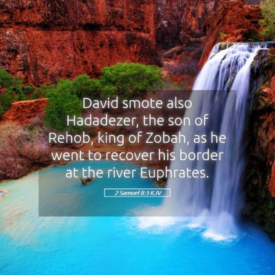 Picture 05 - 2 Samuel 8:3 KJV - David smote also Hadadezer, the son of Rehob, - Bible Verse Picture