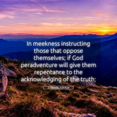Picture 05 - 2 Timothy 2:25 KJV - In meekness instructing those that oppose - Bible Verse Picture