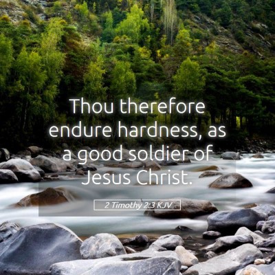 Picture 05 - 2 Timothy 2:3 KJV - Thou therefore endure hardness, as a good soldier - Bible Verse Picture