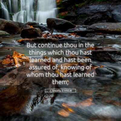 Picture 05 - 2 Timothy 3:14 KJV - But continue thou in the things which thou hast - Bible Verse Picture