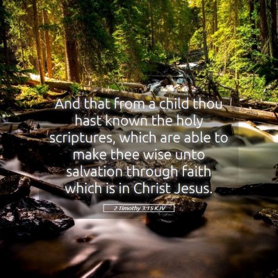 Picture 05 - 2 Timothy 3:15 KJV - And that from a child thou hast known the holy - Bible Verse Picture