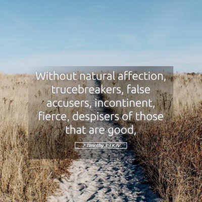 Picture 05 - 2 Timothy 3:3 KJV - Without natural affection, trucebreakers, false - Bible Verse Picture