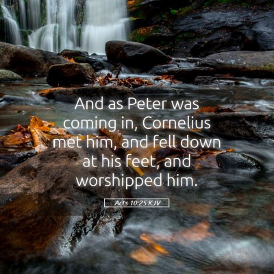 Picture 05 - Acts 10:25 KJV - And as Peter was coming in, Cornelius met him, - Bible Verse Picture