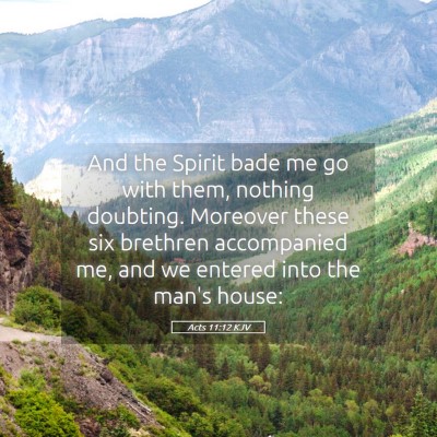 Picture 05 - Acts 11:12 KJV - And the Spirit bade me go with them, nothing - Bible Verse Picture
