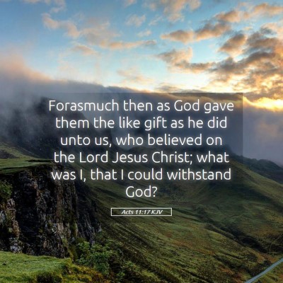 Picture 05 - Acts 11:17 KJV - Forasmuch then as God gave them the like gift as - Bible Verse Picture