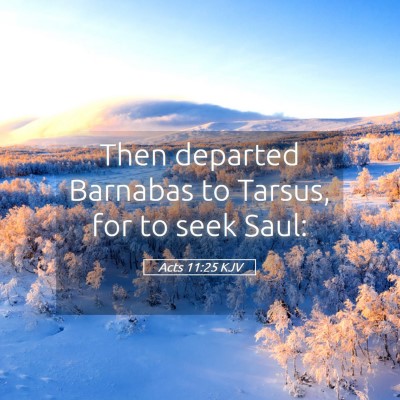 Picture 05 - Acts 11:25 KJV - Then departed Barnabas to Tarsus, for to seek - Bible Verse Picture