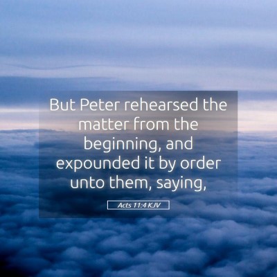 Picture 05 - Acts 11:4 KJV - But Peter rehearsed the matter from the - Bible Verse Picture