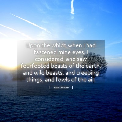 Picture 05 - Acts 11:6 KJV - Upon the which when I had fastened mine eyes, I - Bible Verse Picture
