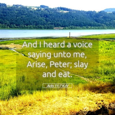 Picture 05 - Acts 11:7 KJV - And I heard a voice saying unto me, Arise, Peter; - Bible Verse Picture