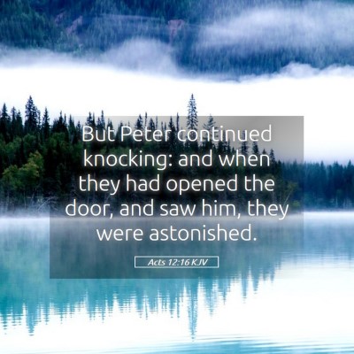 Picture 05 - Acts 12:16 KJV - But Peter continued knocking: and when they had - Bible Verse Picture