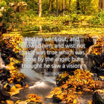 Picture 05 - Acts 12:9 KJV - And he went out, and followed him; and wist not - Bible Verse Picture