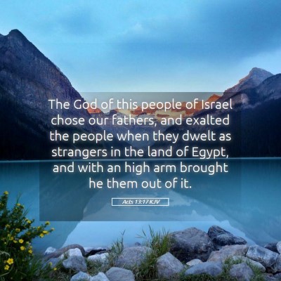 Picture 05 - Acts 13:17 KJV - The God of this people of Israel chose our - Bible Verse Picture