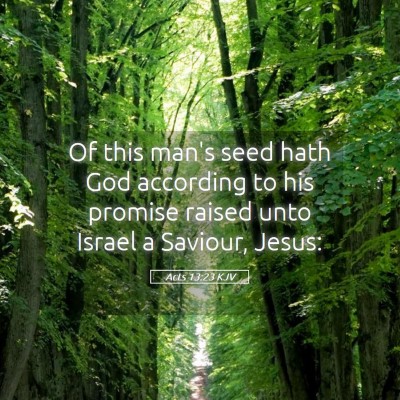 Picture 05 - Acts 13:23 KJV - Of this man's seed hath God according to his - Bible Verse Picture