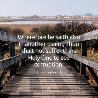 Picture 05 - Acts 13:35 KJV - Wherefore he saith also in another psalm, Thou - Bible Verse Picture