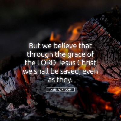 Picture 05 - Acts 15:11 KJV - But we believe that through the grace of the LORD - Bible Verse Picture