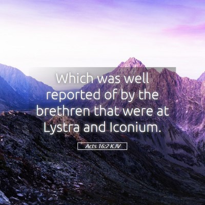 Picture 05 - Acts 16:2 KJV - Which was well reported of by the brethren that - Bible Verse Picture