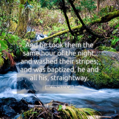 Picture 05 - Acts 16:33 KJV - And he took them the same hour of the night, and - Bible Verse Picture