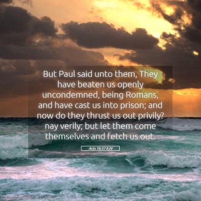 Picture 05 - Acts 16:37 KJV - But Paul said unto them, They have beaten us - Bible Verse Picture