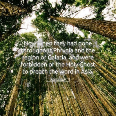 Picture 05 - Acts 16:6 KJV - Now when they had gone throughout Phrygia and the - Bible Verse Picture