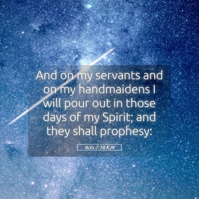 Picture 05 - Acts 2:18 KJV - And on my servants and on my handmaidens I will - Bible Verse Picture